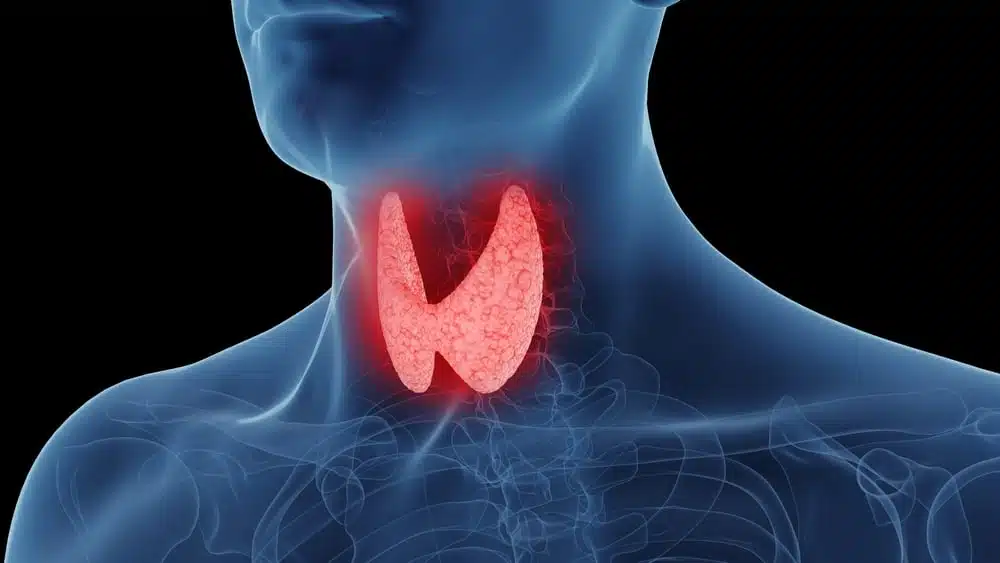 Avanti Medical Center blog on thyroid hormones and men’s metabolism in Lehi UT